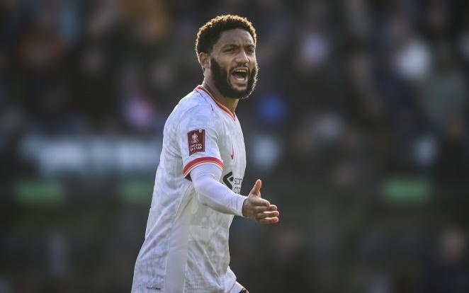 为这篇文章 为这篇文章