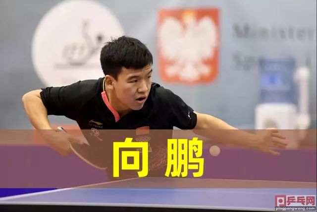 和顽强的意 和顽强的意