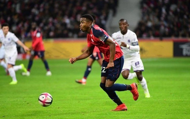 用预算与复 用预算与复